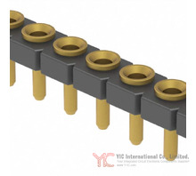SL-119-G-19 Image